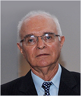 Hans Van Holte